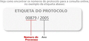 Exemplo da Etiqueta do Protocolo